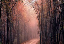 地狱门主场不负众望，力挽狂澜取胜