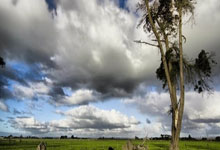 切尔西实力暴露！布伦特福德反超，豪取三分！