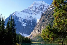 莱比锡告捷！德甲新贵成功晋级强